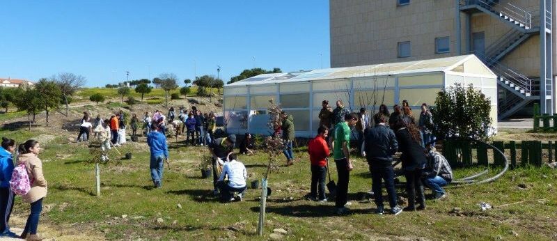 Plantación de árboles en Formación del Profesorado