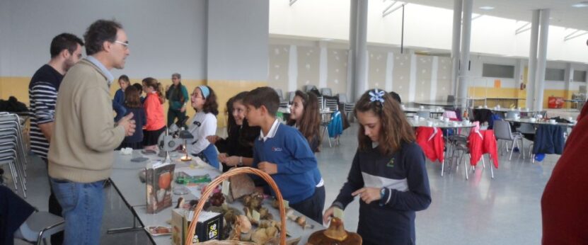 Comienza la IV Edición de las Jornadas “Desayuna con la ciencia. Curso 2014-2015” en la UEx