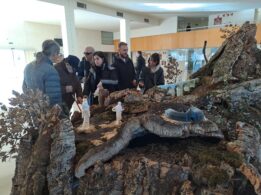 Visita Afiliados ONCE Al Belén Inclusivo Instalado En La Facultad De Filosofía Y Letras De La Universidad De Extremadura De Cáceres