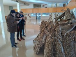 Visita Afiliados ONCE Al Belén Inclusivo Instalado En La Facultad De Filosofía Y Letras De La Universidad De Extremadura De Cáceres