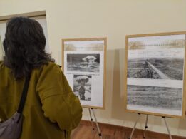 Exposición De Láminas Del Museo Conmemorativo De La Paz De Hiroshima 4