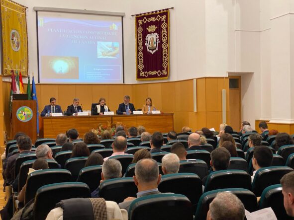 Acto Día Del Centro De Plasencia 2025