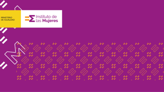 Convocatoria de subvenciones destinadas a la realización de postgrados en estudios feministas y d...