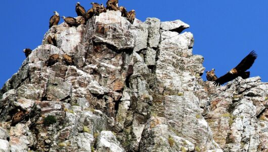 El Corredor Ambiental de la UNESCO en Extremadura: un modelo de turismo sostenible y participativo