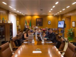 Reunion Grupo9 Caceres Octubre 2025 Sectorial de Estudiantes y Empleabilidad