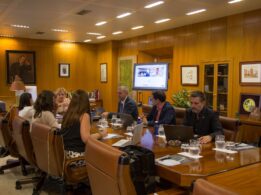 Reunion Grupo9 Caceres Octubre 2025 Sectorial de Estudiantes y Empleabilidad