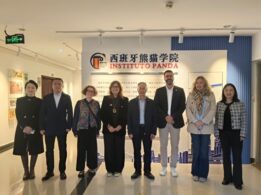 Foto De Grupo De La Reunión Ejecutiva Del Comité De Dirección Del Instituto Panda