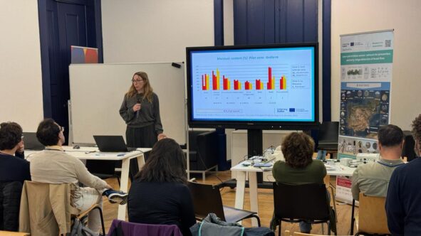 Presentación en la reunión de Évora de SenForFire